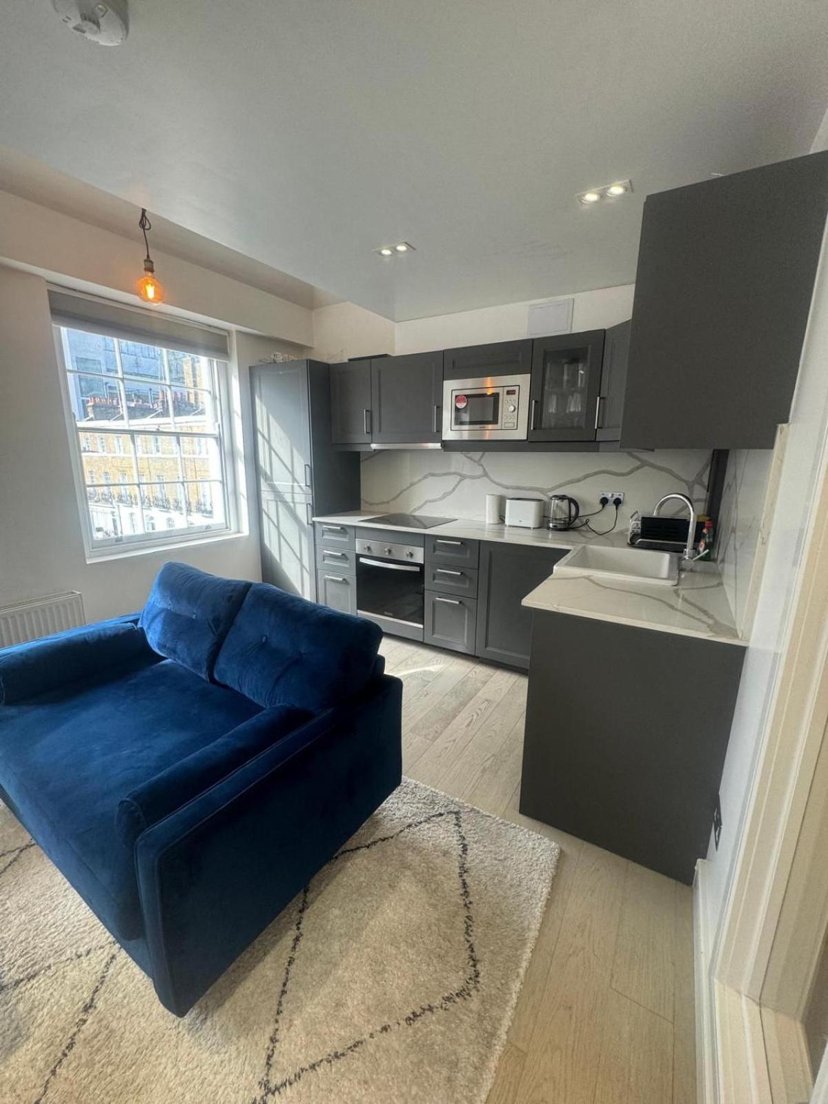 Luxury Flat Paddington Londra