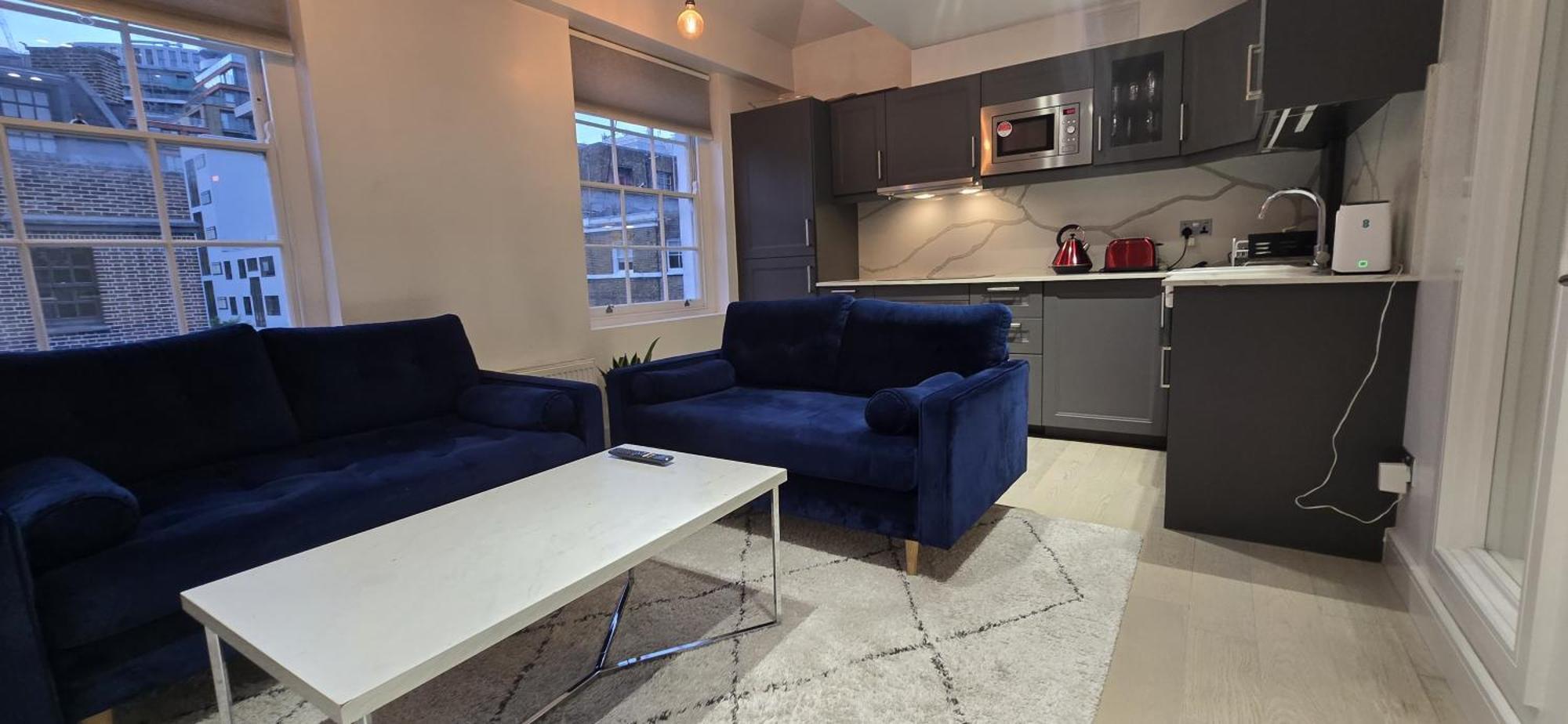 Luxury Flat Paddington *