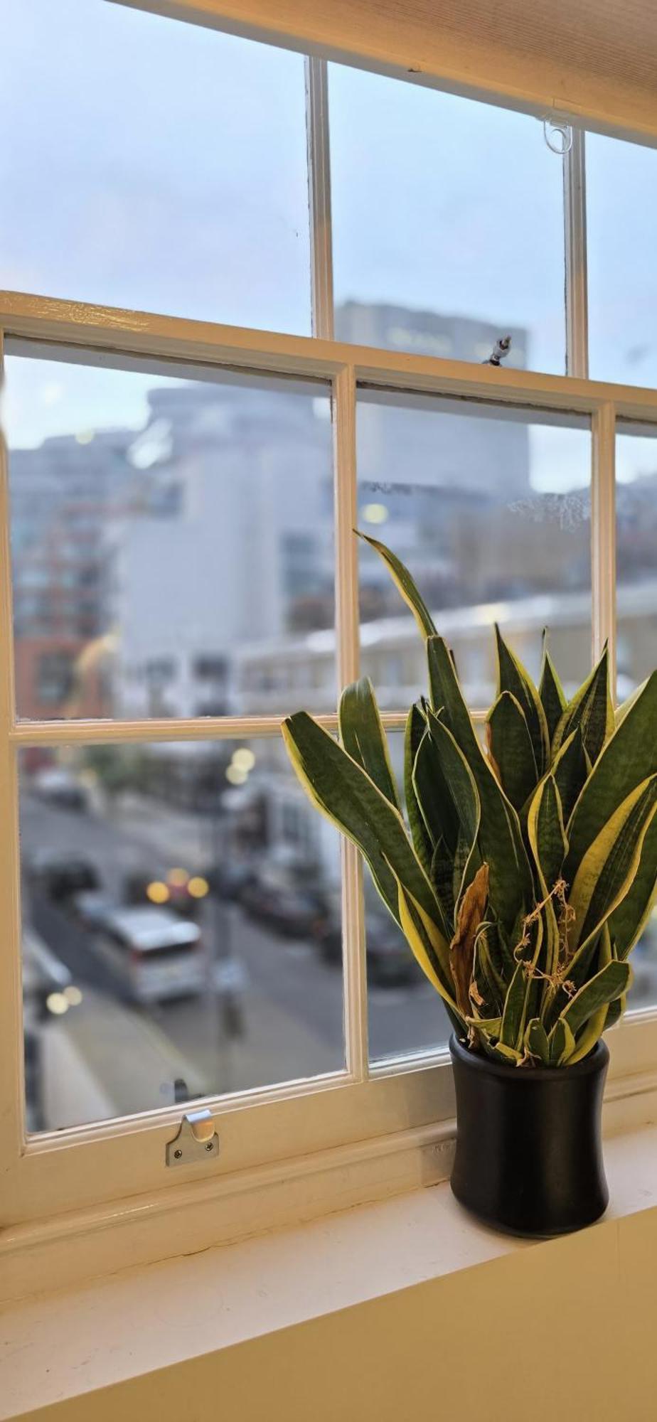 Luxury Flat Paddington